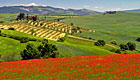 Val d'Orcia Guida Turistica e Prenotazione Hotel